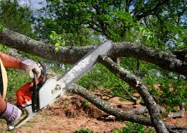 Trusted Ramtown, NJ Tree Removal and Landscaping Services Experts